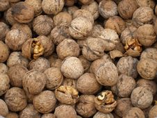 Walnuts With Shells Royalty Free Stock Photo Walnuts With Shells Royalty Free Stock Photo