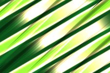 Abstract Composition, Leaf Of Green Plant 3 Royalty Free Stock Photography