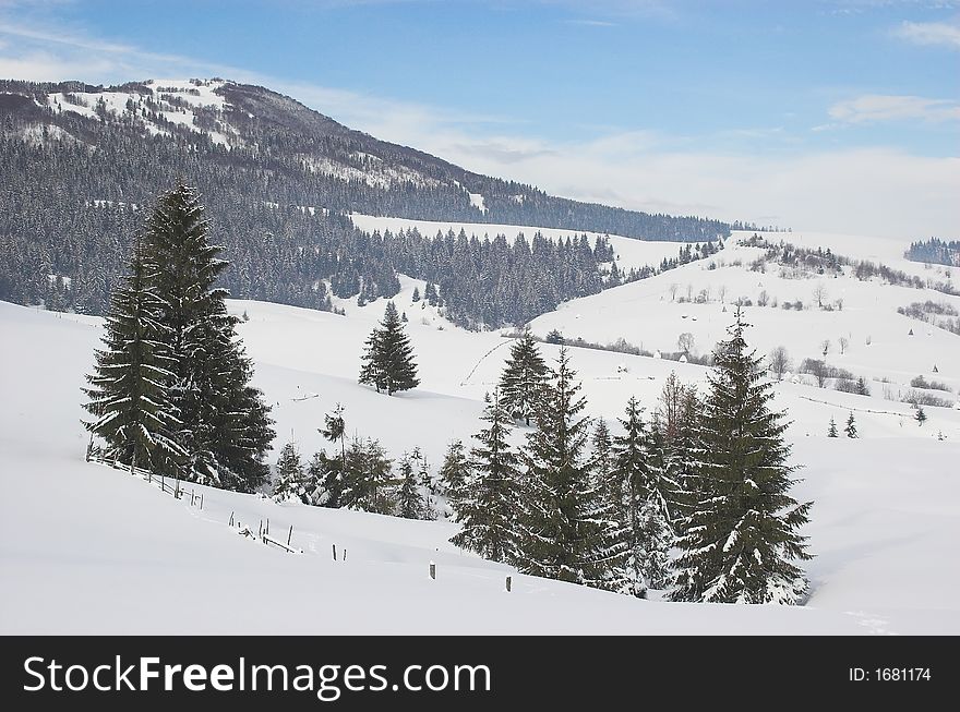 Winter in carpathian mountains with snow-covered trees