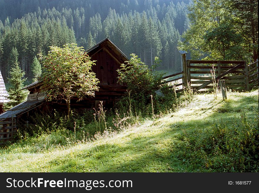 Cottage hut