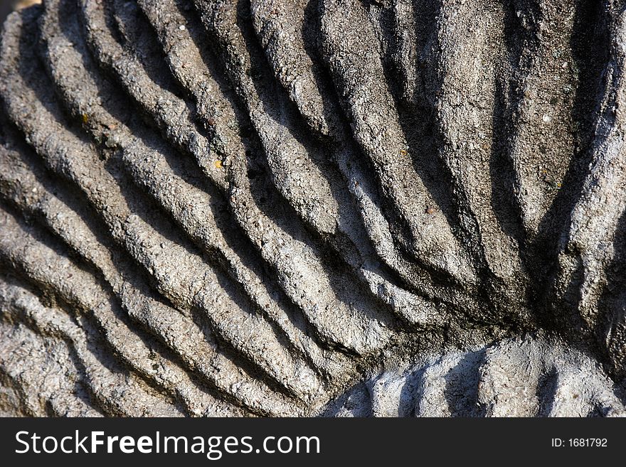 Structure of a fossilized ammonite