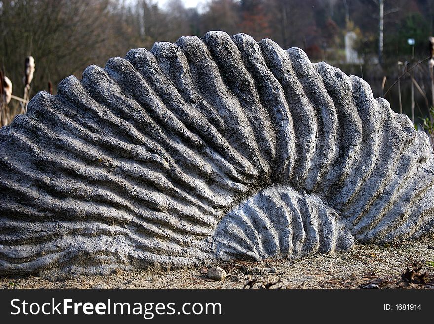 Structure of a fossilized ammonite