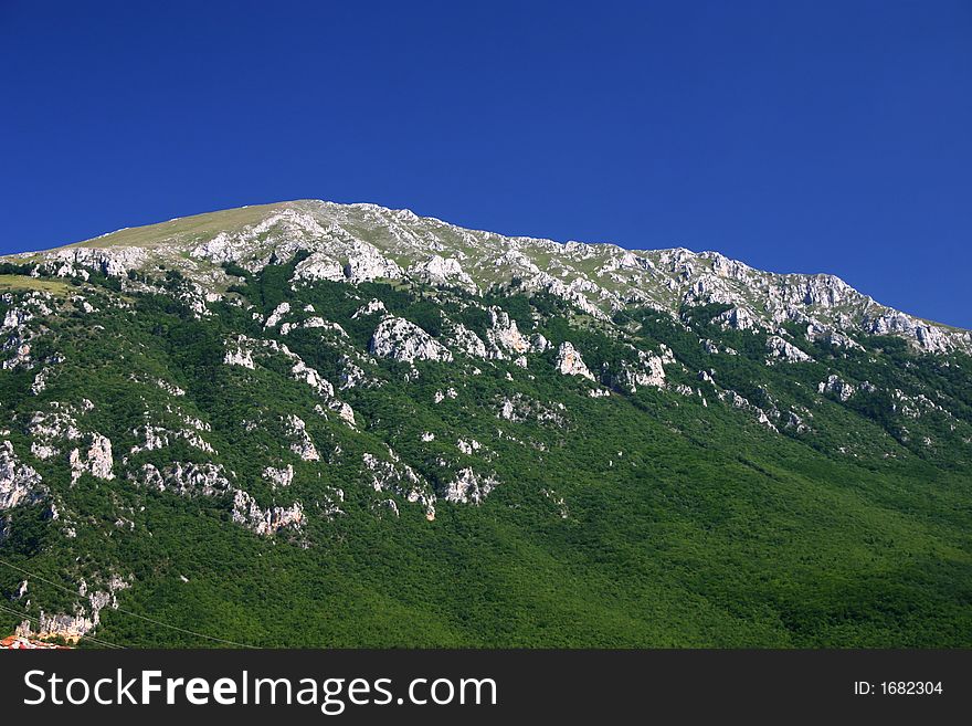 Mountain slope covered with forest