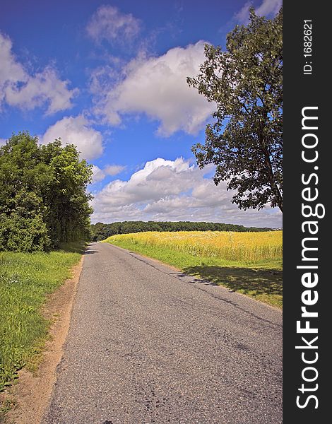 A photo of a countryside road in early summer (Denmark). A photo of a countryside road in early summer (Denmark)