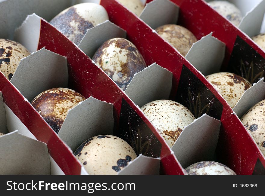 Pack of quail`s spotted eggs. Pack of quail`s spotted eggs