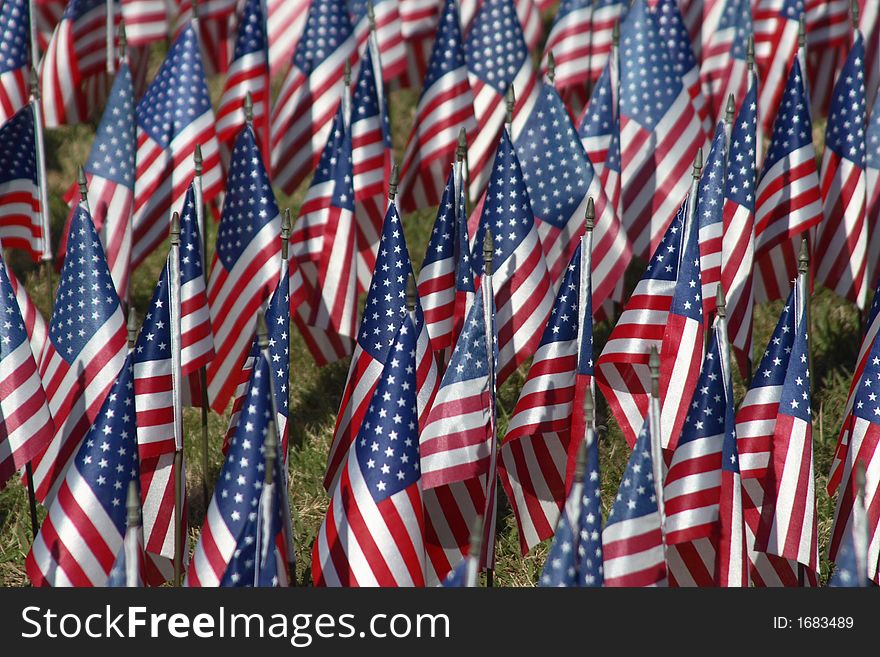 Field of Flags honoring veterans on veterans day