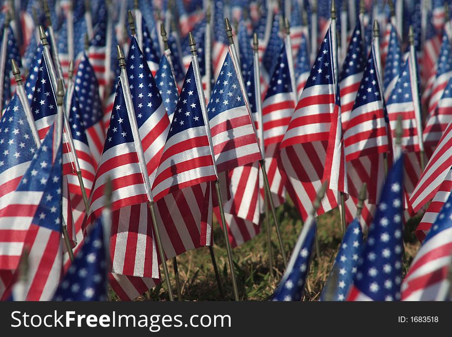 Field of Flags honoring veterans on veterans day