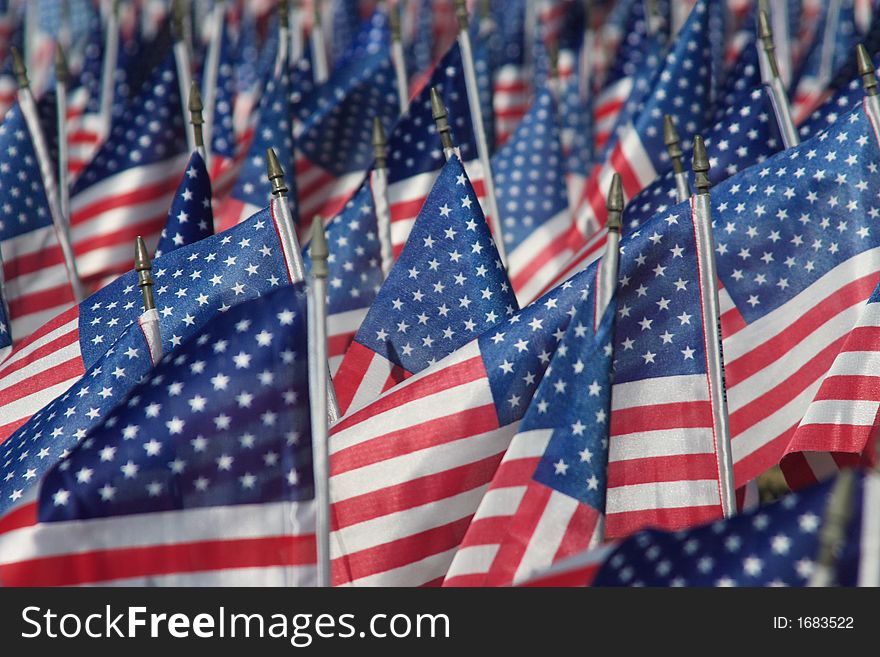 Field of Flags