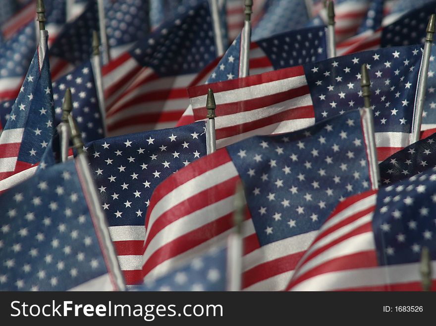 Field of Flags honoring veterans on veterans day