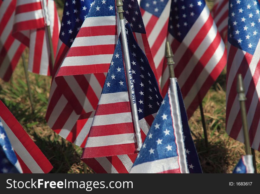 Field of Flags honoring veterans on veterans day