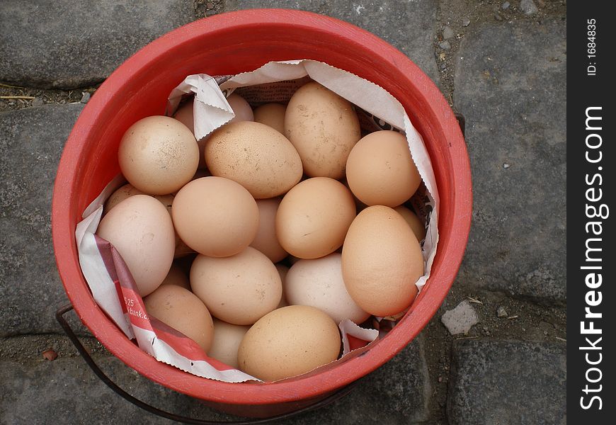 Fresh brown eggs in red pail. Fresh brown eggs in red pail