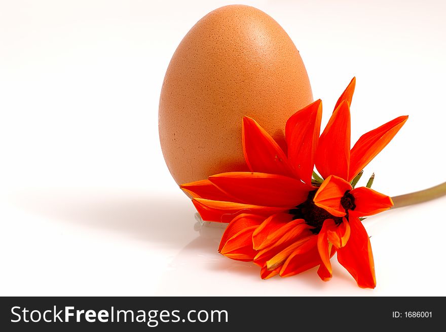 An Egg And Orange Flower