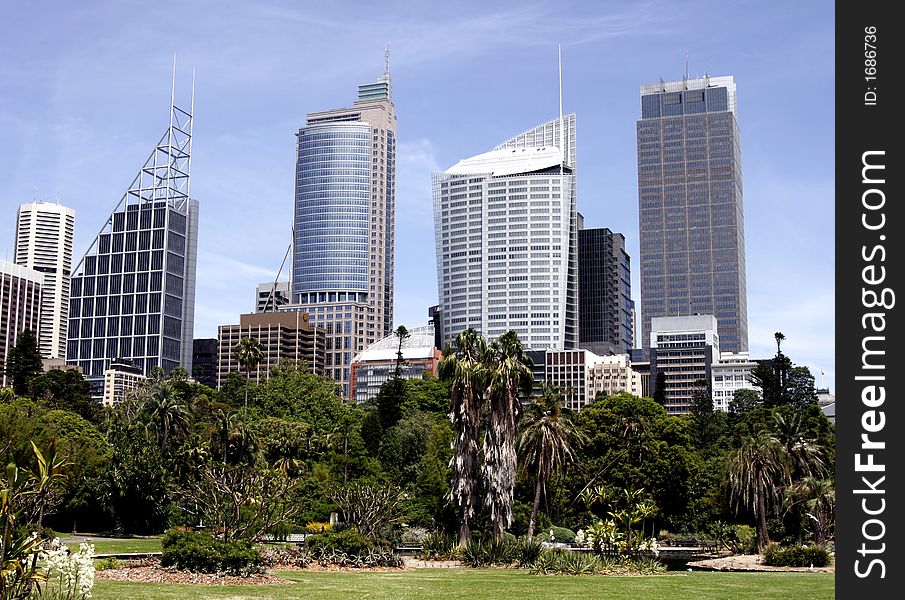 Urban Public Park In Front Of Tall City Office Buildings, Sydney, Australia. Urban Public Park In Front Of Tall City Office Buildings, Sydney, Australia