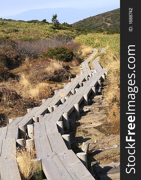 Wooden route for mountain trekking-Zao Mountain Japan. Wooden route for mountain trekking-Zao Mountain Japan