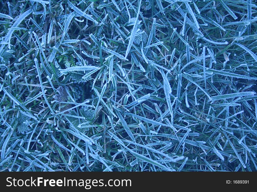 Frosty Grass Background