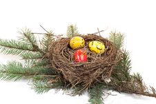 Nest Royalty Free Stock Photo Nest Royalty Free Stock Photo