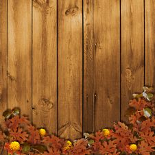 Card For The Holiday With Autumn Leaves Royalty Free Stock Photography Card For The Holiday With Autumn Leaves Royalty Free Stock Photography