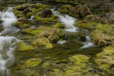 Mossy Stream Royalty Free Stock Photo Mossy Stream Royalty Free Stock Photo