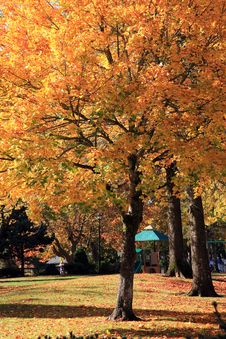 Autumn Colors. Stock Image Autumn Colors. Stock Image