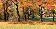 Autumn Colors. Stock Photo Autumn Colors. Stock Photo