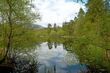 Trees And Reflections Stock Photography Trees And Reflections Stock Photography