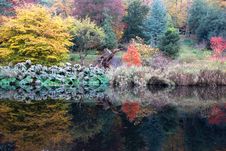 Reflection Of Autumn Leaves In A Lake Royalty Free Stock Photos