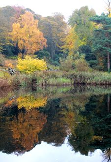 Reflection Of Autumn Leaves In A Lake Stock Image