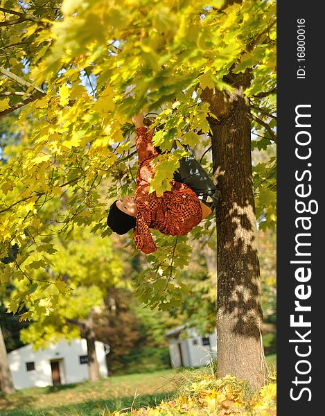 Boy hang on tree in autumn. Boy hang on tree in autumn