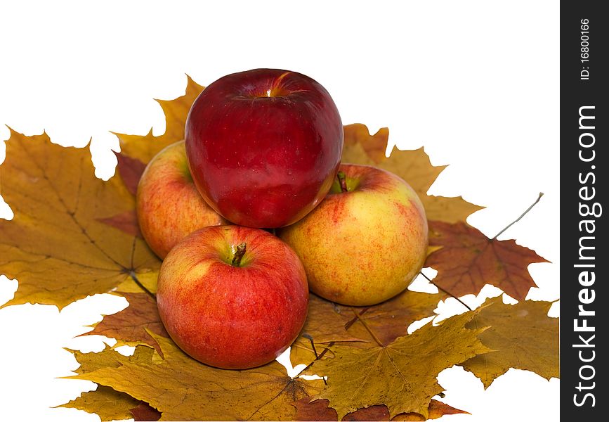 Four apples folded priamidkoy on maple leaves isolated on white background. Four apples folded priamidkoy on maple leaves isolated on white background.