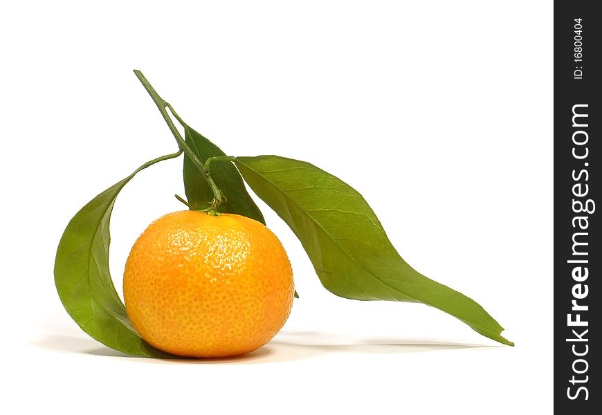Tangerine with leaves and on the white isolate background