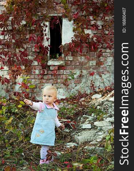 Beautiful baby girl standing in summer. Beautiful baby girl standing in summer