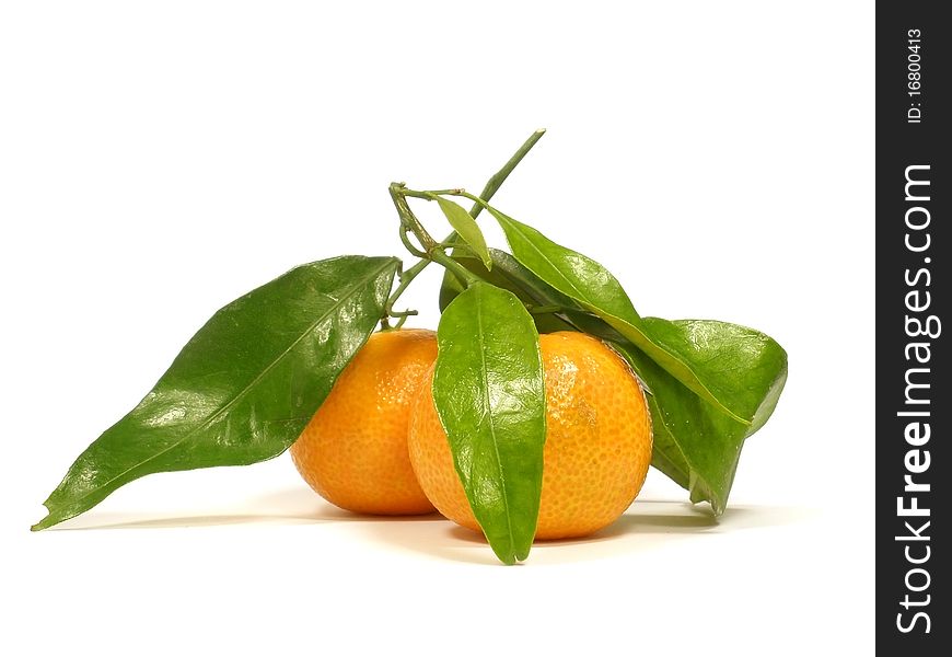 Tangerines with leaves and on the white isolate background