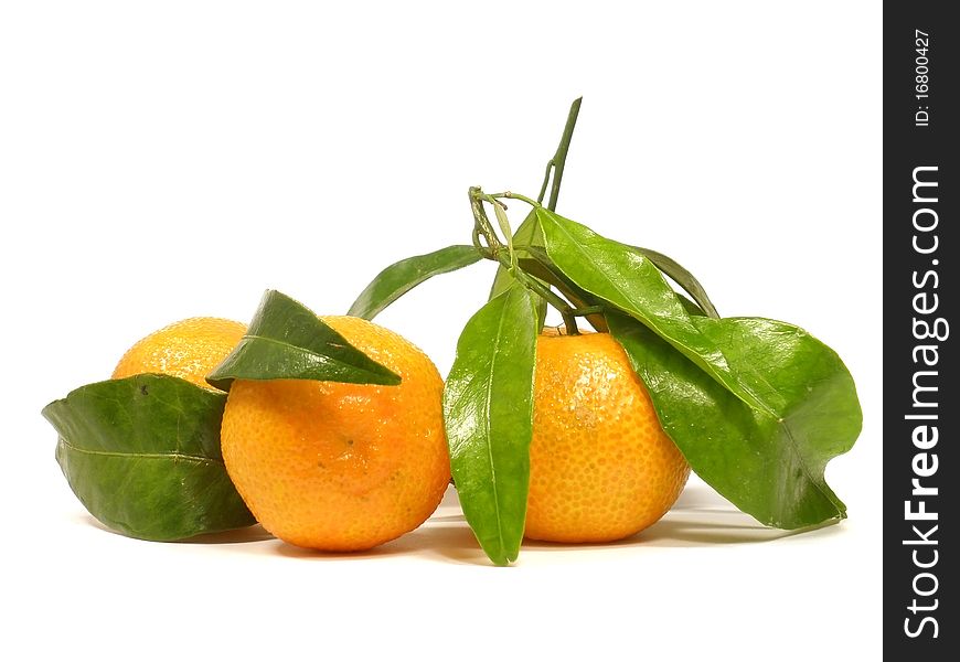Tangerines with leaves and on the white isolate background