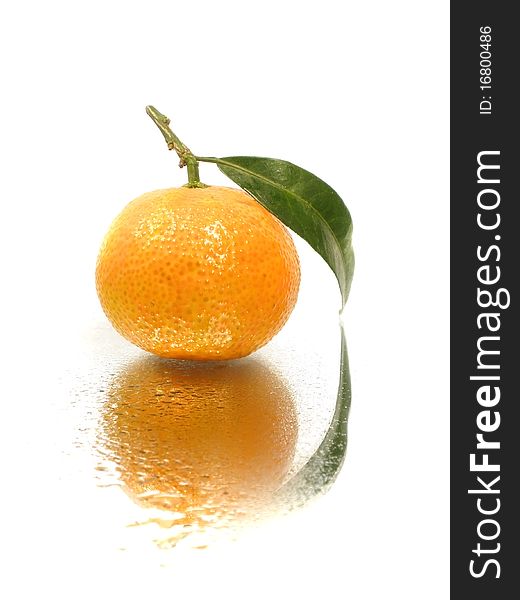 Tangerine with leave on the white background with water drops