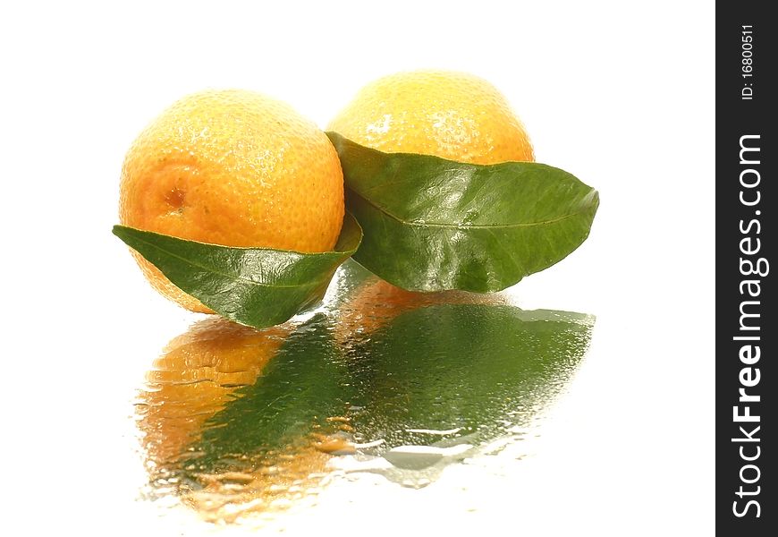 Tangerine with leaves on the white background with water drops