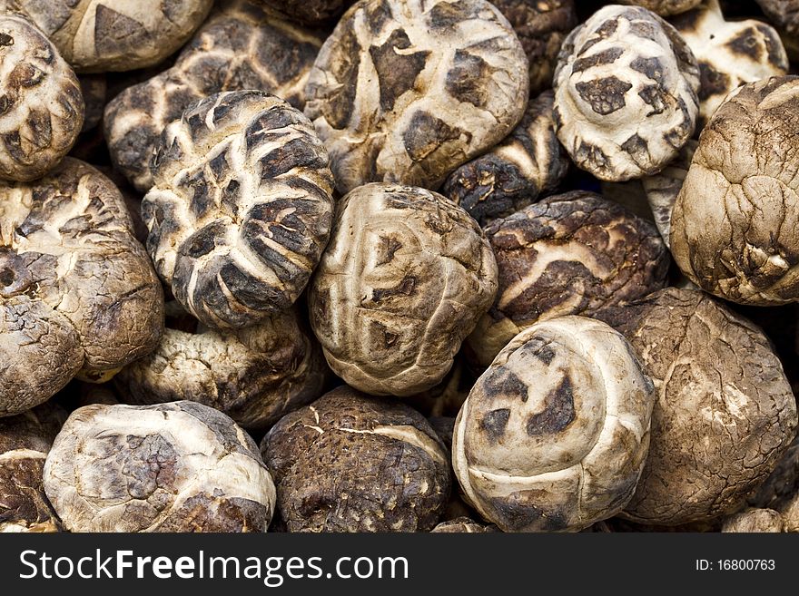 Close Up Dry Mushrooms