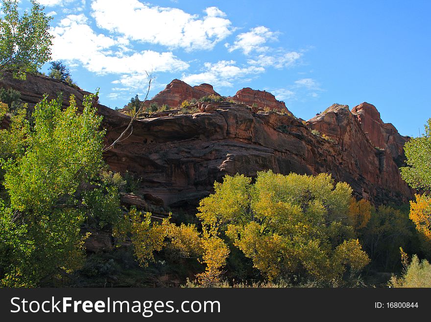 A beautiful desert scene with fall colors. A beautiful desert scene with fall colors
