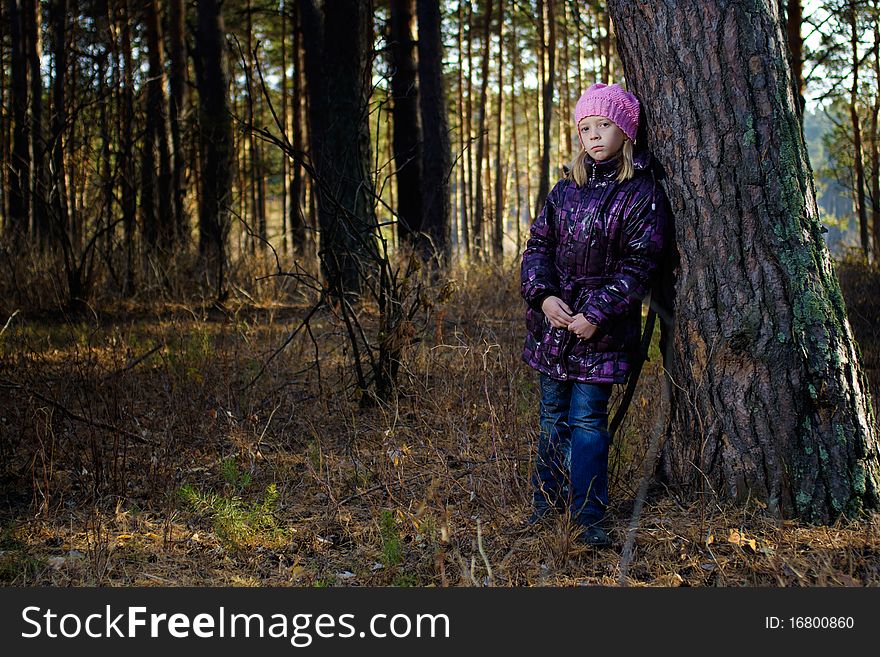 The girl in an autumn pine wood has leant against a tree. The girl in an autumn pine wood has leant against a tree