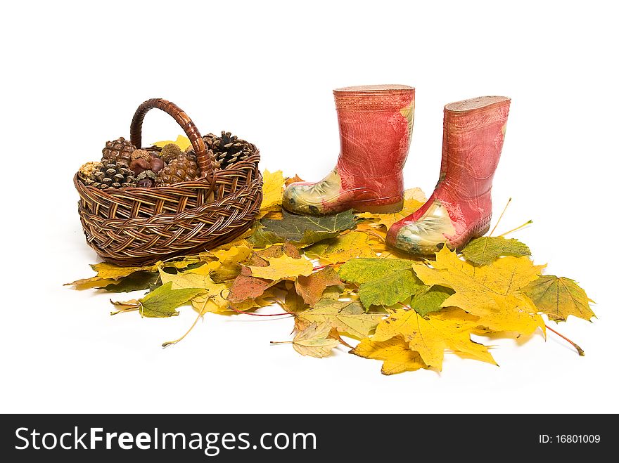 Basket with pine cones and childrens red rubber boots on the fallen leaves. Basket with pine cones and childrens red rubber boots on the fallen leaves