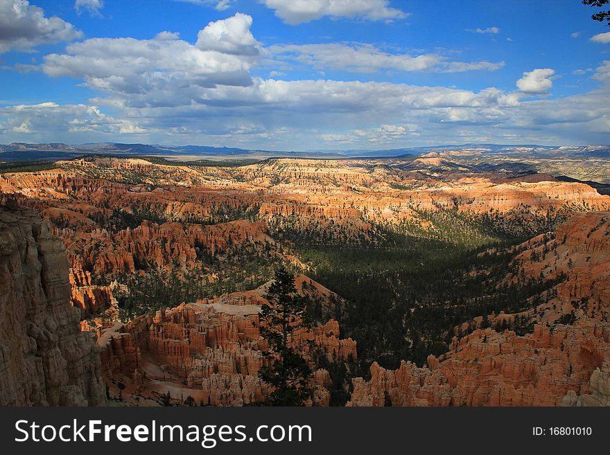 A beautiful overlook at Bryce Canyon. A beautiful overlook at Bryce Canyon