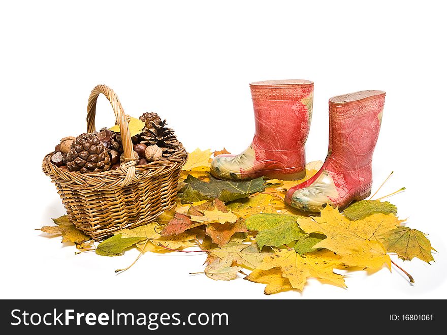 Basket with pine cones and childrens red rubber boots on the fallen leaves. Basket with pine cones and childrens red rubber boots on the fallen leaves