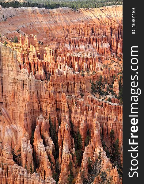 Hoodoos in Bryce Canyon