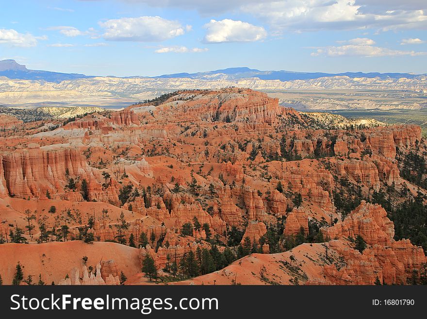 Looking Over Bryce Canyon