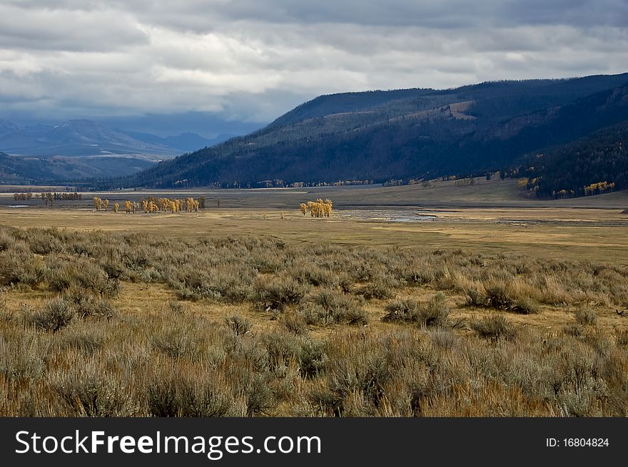 A moody autumn, Lamar Valley day, in Yellowstone National Park. A moody autumn, Lamar Valley day, in Yellowstone National Park.