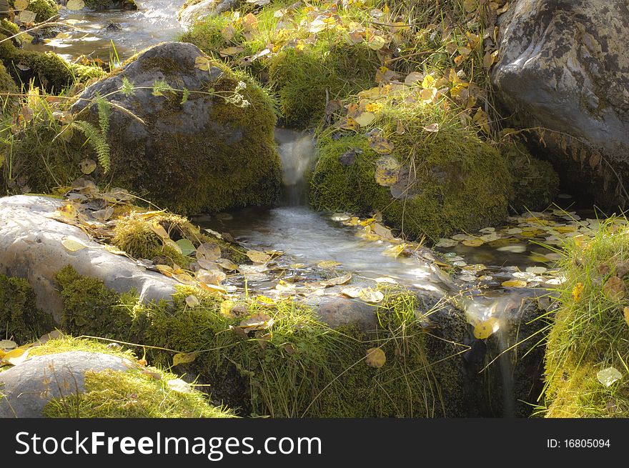 A tiny mountain stream wends it's way through mossy pools decorated with fall's colored leaves. A tiny mountain stream wends it's way through mossy pools decorated with fall's colored leaves.