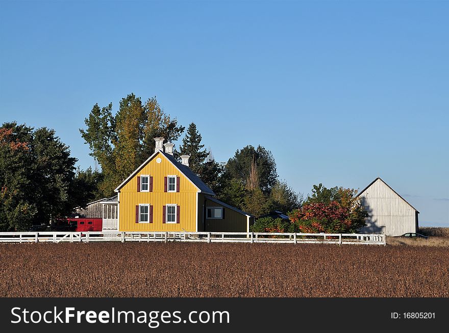 Yellow house in farm  and soy beans field