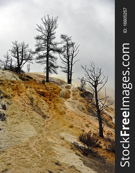 Mammoth Springs, Yellowstone National Park, Wyoming