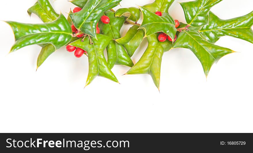 Christmas framework with holly berry isolated on white background