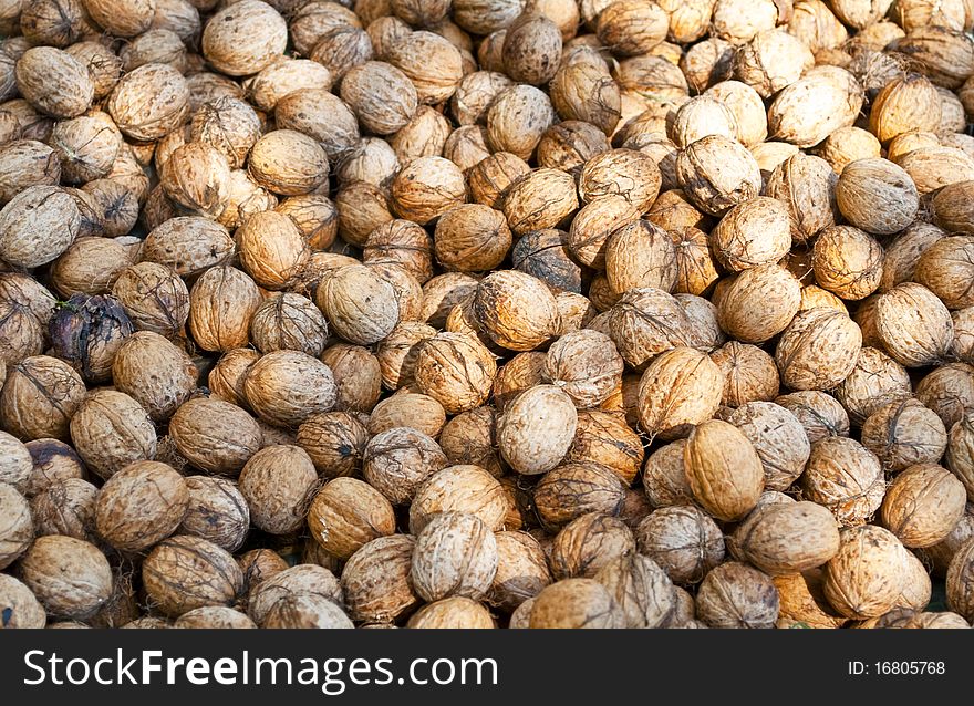 Group Of Walnuts