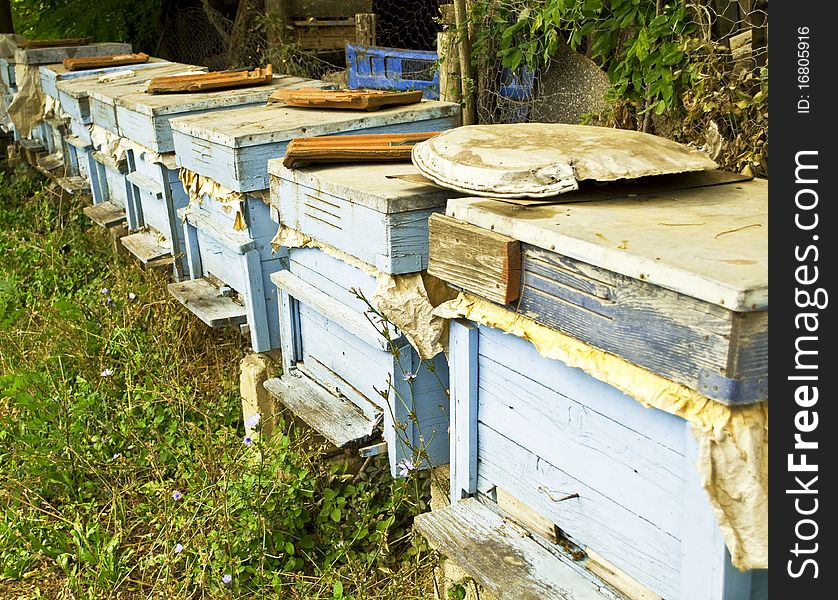 Old wooden beehive in garden